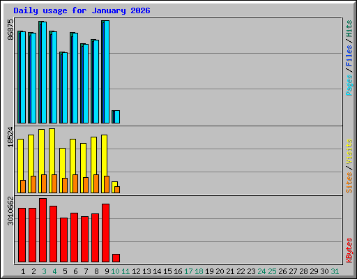 Daily usage for January 2026