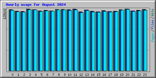 Hourly usage for August 2024