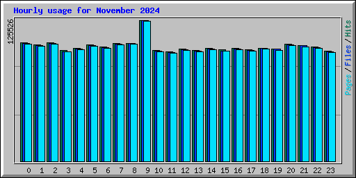 Hourly usage for November 2024