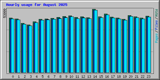 Hourly usage for August 2025