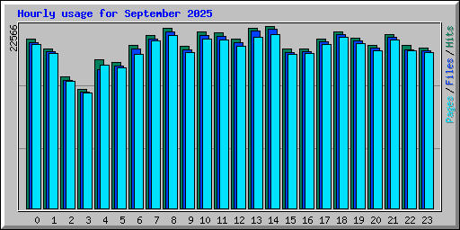 Hourly usage for September 2025