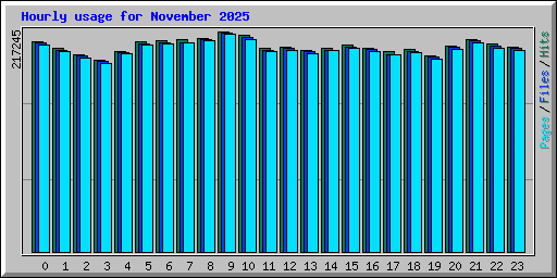 Hourly usage for November 2025