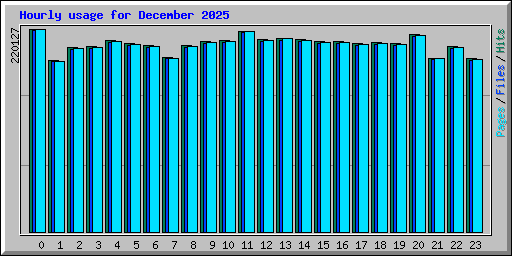 Hourly usage for December 2025