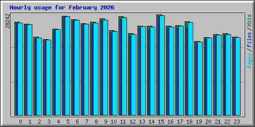 Hourly usage for February 2026